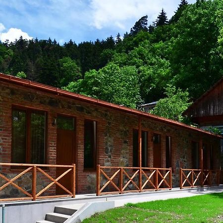 Borjomi Cottages Dış mekan fotoğraf