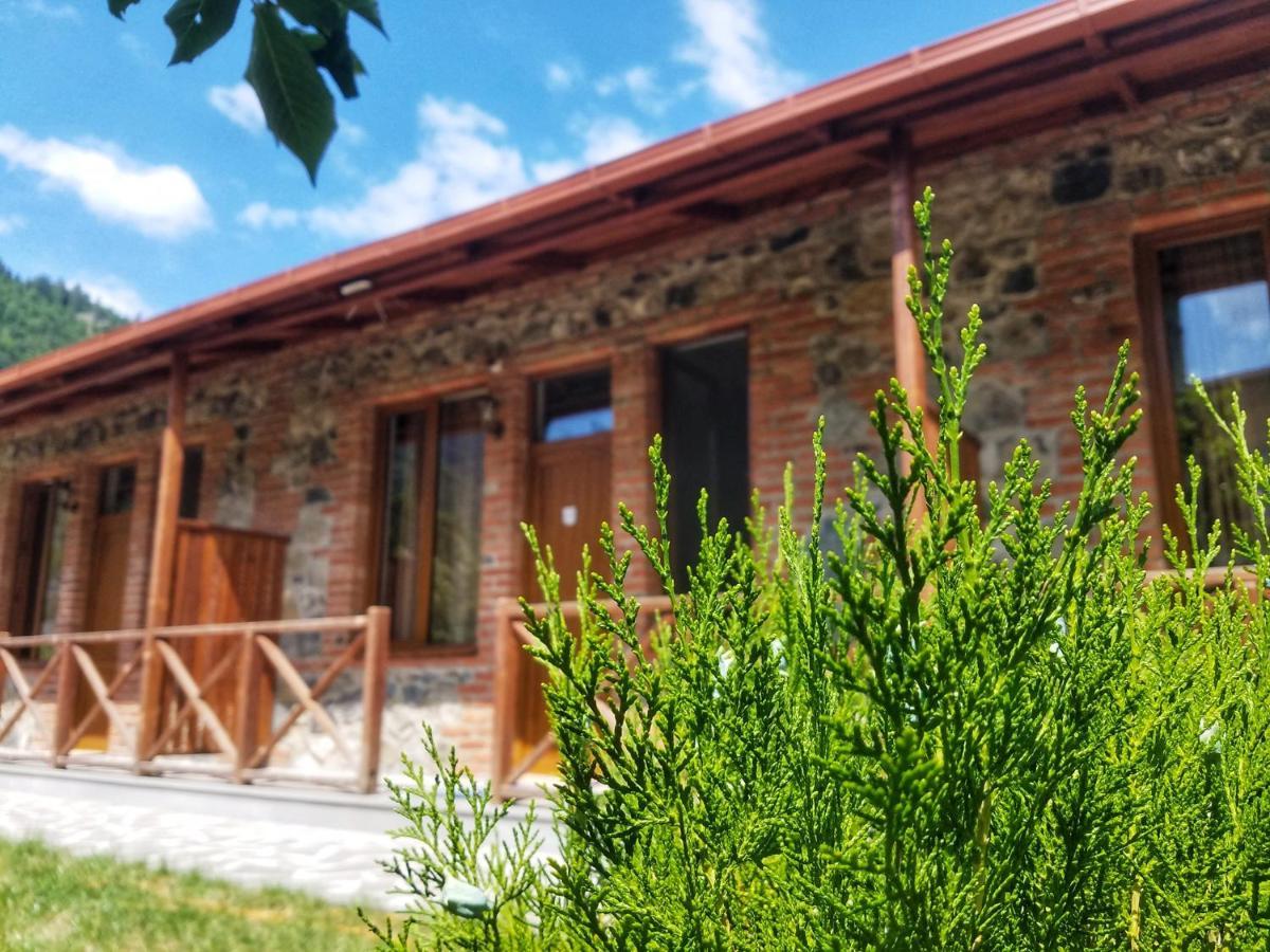 Borjomi Cottages Dış mekan fotoğraf